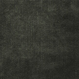 Darkgrey