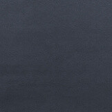 Darkblue
