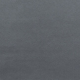 Zinc
