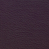 Aubergine