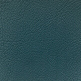 Petrol