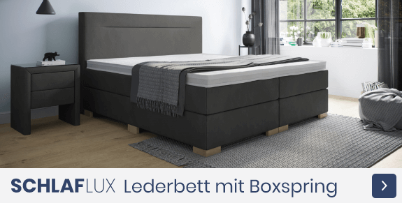 Schlaflux Lederbett mit Boxspring